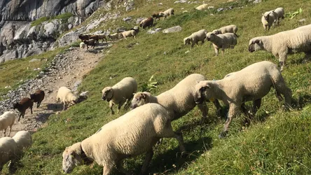 Kandersteg, Bern, Switzerland